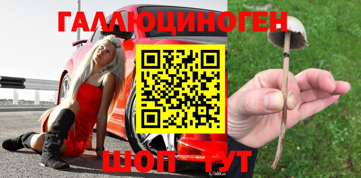 Галлюциногенные грибы прущие грибы  Вход с VPN  сколько стоит  Ртищево 