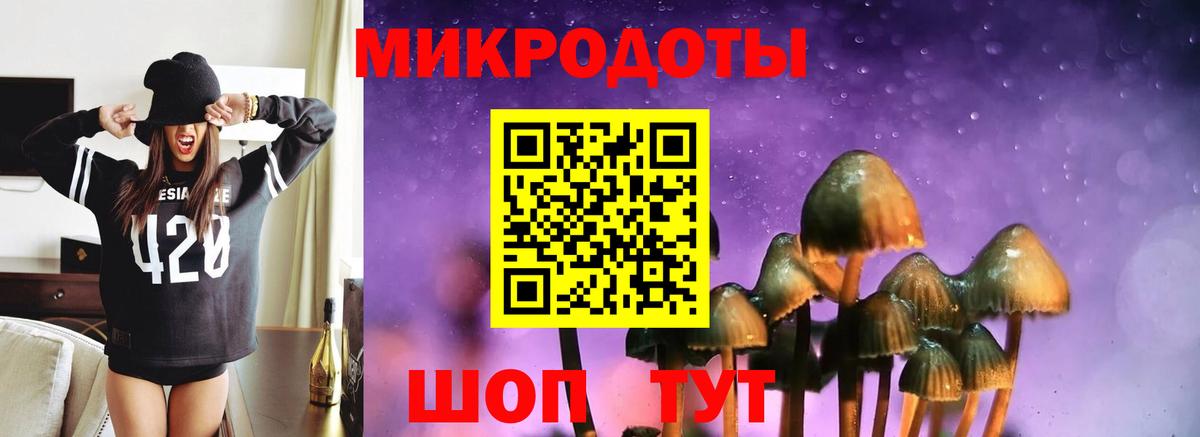 Псилоцибиновые грибы Magic Shrooms Ртищево